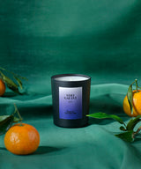still life bougie sacré francais parfum vert galant avec mandarines sur fond vert